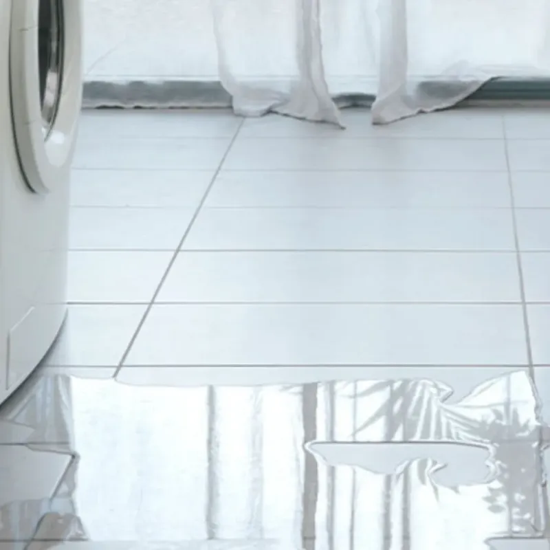Appliance Leak Cleanup in Medina, MN