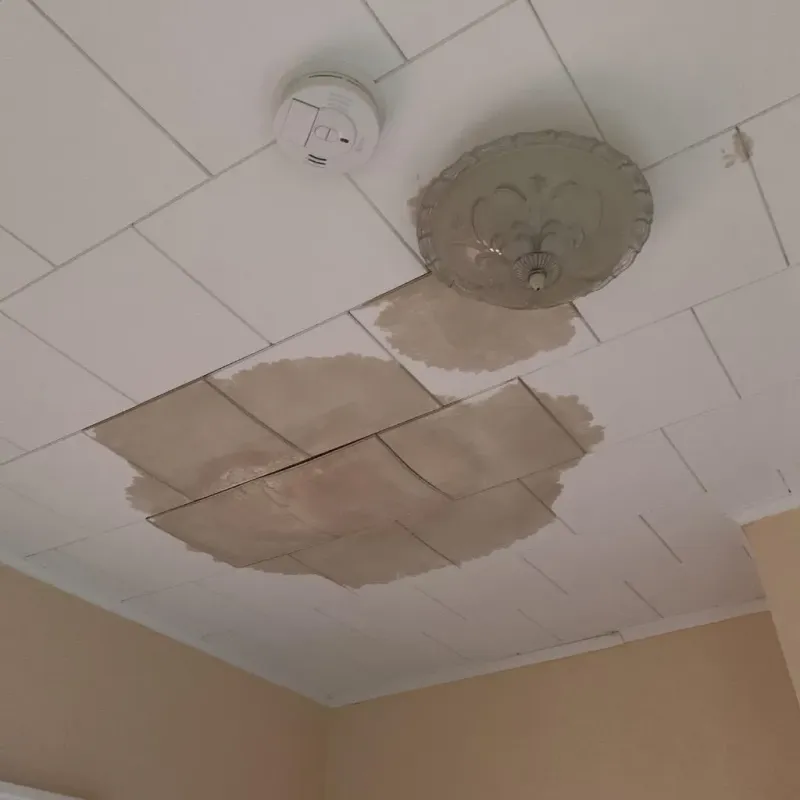 Ceiling Water Damage Repair in Medina, MN
